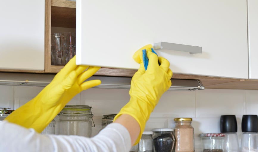 Zuley Cleaning